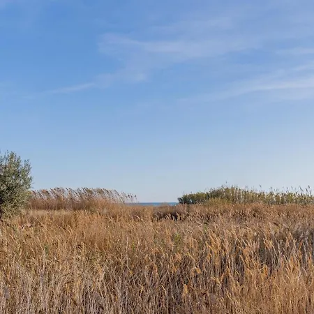 Modern Apartment: Moncofa Beachside Oasis 아파트 몬코파르